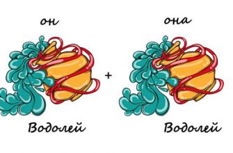 Совместимость двух Водолеев