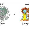 Фото овен+близнецы
