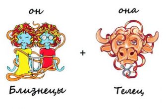 Изображение_совместимость близнецы и телец