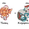 Изображение телец и козерог_главная